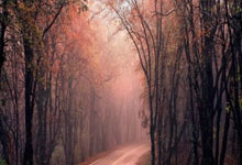 首届FIFA女足世俱杯将于2028年举行央视体育微博.