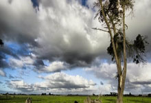 bb体育官网：英超U21球员身价榜：恩瓦内里居首，梅努第二约罗第三.