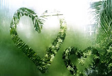 bb体育官网：[体坛零距离]张雨霏：跟崔导的时候会选择不说.