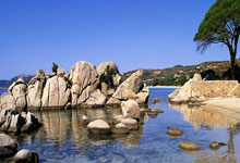 bb体育官网：又一次8比0！WTT成都混团世界杯 国乒战胜中国香港队央视新闻客户端.